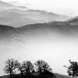 Джон Уимберли. Туманный пейзаж с заводью. 1984  