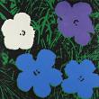 Энди Уорхол. Цветы. 1964