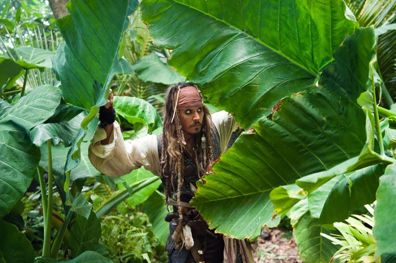 Актер Джонни Депп, только что снявшийся в четвертой части франшизы «Пираты Карибского моря», заявил на пресс-конференции в Каннах, что «готов перевоплощаться в Джека Воробья до тех пор, пока этого будут хотеть зрители».