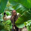 Актер Джонни Депп, только что снявшийся в четвертой части франшизы «Пираты Карибского моря», заявил на пресс-конференции в Каннах, что «готов перевоплощаться в Джека Воробья до тех пор, пока этого будут хотеть зрители».