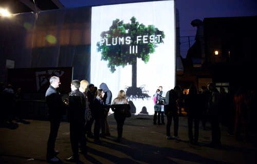 Фестиваль Plums Fest