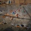 Дэниел Берехулак (Австралия). Наводнение в Пакистане, август-сентябрь 2010 года: Жертвы наводнения пытаются добраться до продовольствия, борясь с воздушными потоками от винтов военного вертолета, доставившего гуманитарную помощь, Даду, Пакистан, 13 сентября 2010 года 1-е место — «Люди и события» (серии)