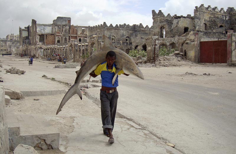 Омар Фейсал (Сомали). Человек несет акулу по улицам Могадишо, Сомали, 23 сентября 2010 года 1-е место — «Повседневная жизнь» (одиночные фотографии)