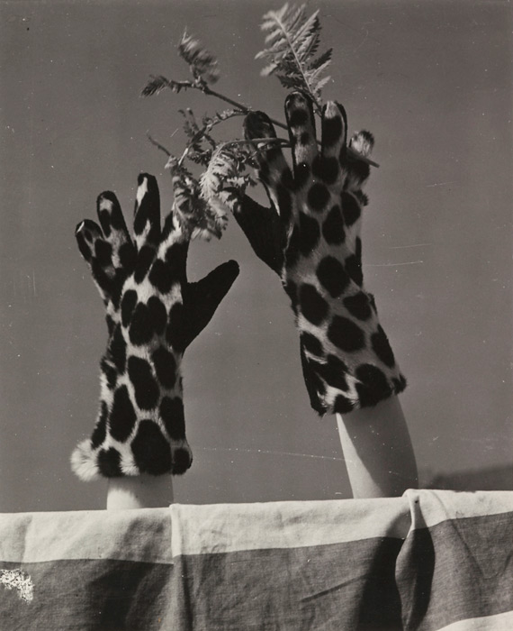 Регина Реланг. Перчатки из меха оцелота. Мюнхен, 1950 