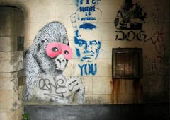 В Бристоле закрасили гориллу Бэнкси