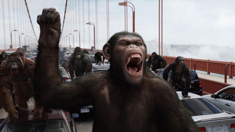 Самую большую кассу в Северной Америке на прошедших выходных — $54 млн — собрал фантастический боевик «Восстание планеты обезьян» по мотивам романа «Планета обезьян» французского писателя Пьера Булля.