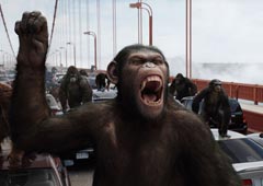 Кадр из фильма «Восстание планеты обезьян»