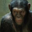 Кадр из фильма «Восстание планеты обезьян»