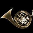 Ник Визи. French horn. 2011