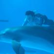 С третьего на первое место в бокс-офисе Северной Америки поднялся детский фильм о приключениях бесхвостого дельфина — «История дельфина» поменялась местами с 3D-версией диснеевского «Короля льва».