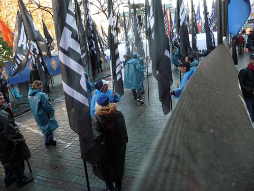 Концептуально-коллективное флагомахание против Тимошенко