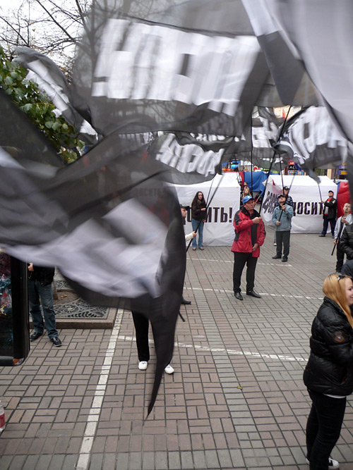 Концептуально-коллективное флагомахание против Тимошенко - Хервиг Хёллер