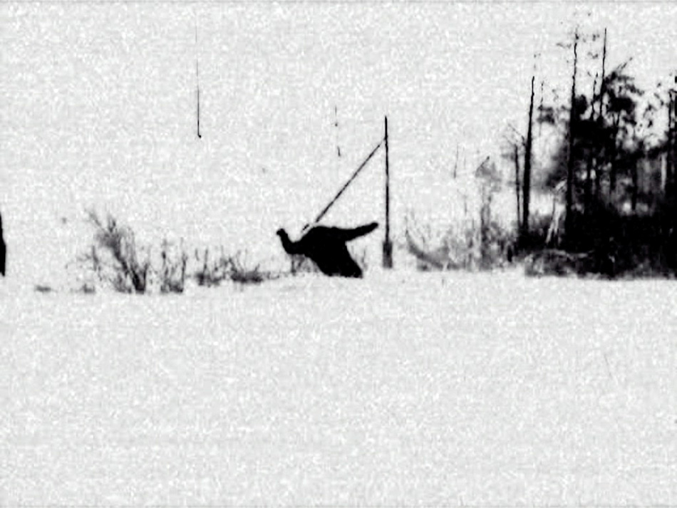 Даниил Зинченко. Болото. Видео