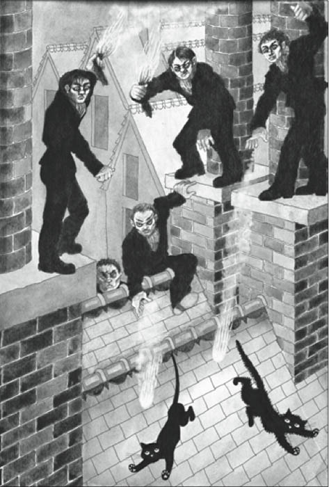 Иллюстрация к книге «Последний черный кот» 