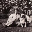 Лоренс и Нэнси Дарреллы с дочерью Пенелопой. 1942