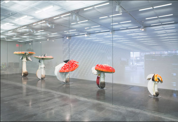 Вид экспозиции «Experience» в Новом Музее в Нью-Йорке