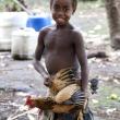 К выставке Сергея Ковальчука «Вануату. Самая счастливая страна мира» 
