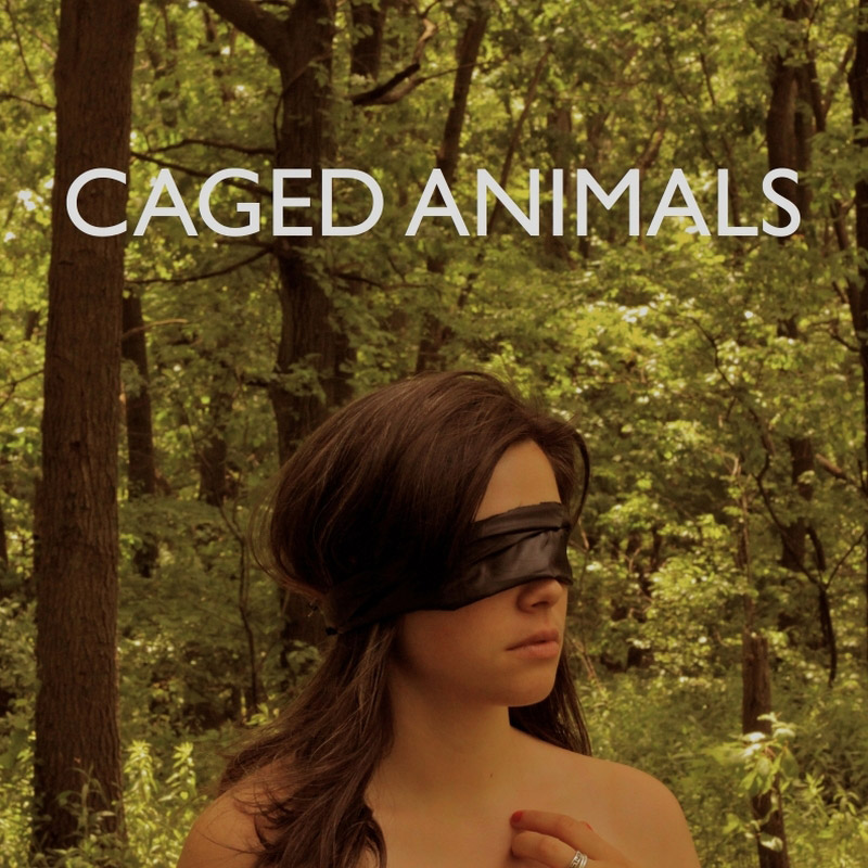 Caged Animals. «All the Beautiful Things in the World»