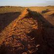 Участок Великой китайской стены найден в Монголии