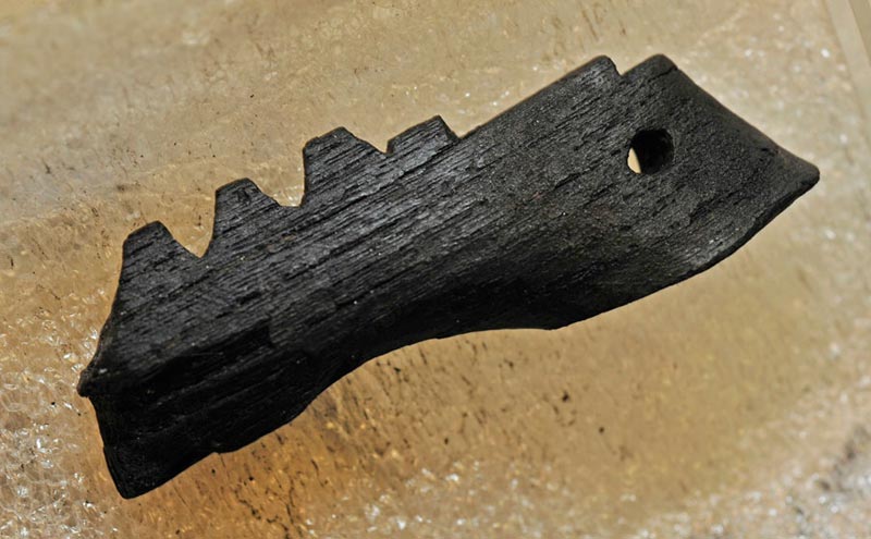 Археологи считают, что обнаружили на шотландском острове Скай в архипелаге Внутренние Гебриды остатки самого древнего струнного инструмента из когда-либо найденных в Западной Европе.