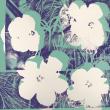 Энди Уорхол. Десятифутовые цветы. 1967-68