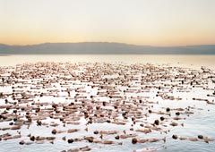 Мертвое море, 17 сентября 2011 года