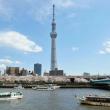 Сегодня, 22 мая, тысячи посетителей впервые поднялись на смотровые площадки «Небесного дерева Токио» — самой высокой в мире телебашни, открывшейся на востоке японской столицы. Ее высота составляет 634 м.