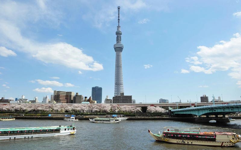 Сегодня, 22 мая, тысячи посетителей впервые поднялись на смотровые площадки «Небесного дерева Токио» — самой высокой в мире телебашни, открывшейся на востоке японской столицы. Ее высота составляет 634 м.