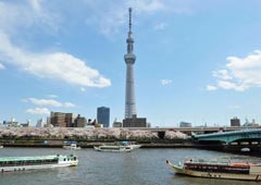 В Токио открыта самая высокая в мире телебашня