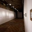 Выставка Михаила Заиканова на проекте «Старт»