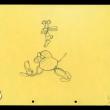 В интернете появился мультфильм 85-летней давности, воссозданный по эскизам Уолта Диснея. Главный герой мультфильма —  предшественник Микки Мауса кролик Освальд.