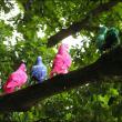 Замеченные в нескольких районах датской столицы голуби малинового, бирюзового и желтого цвета, появление которых вызвало слухи о новой форме «птичего гриппа», оказались произведениями искусства.